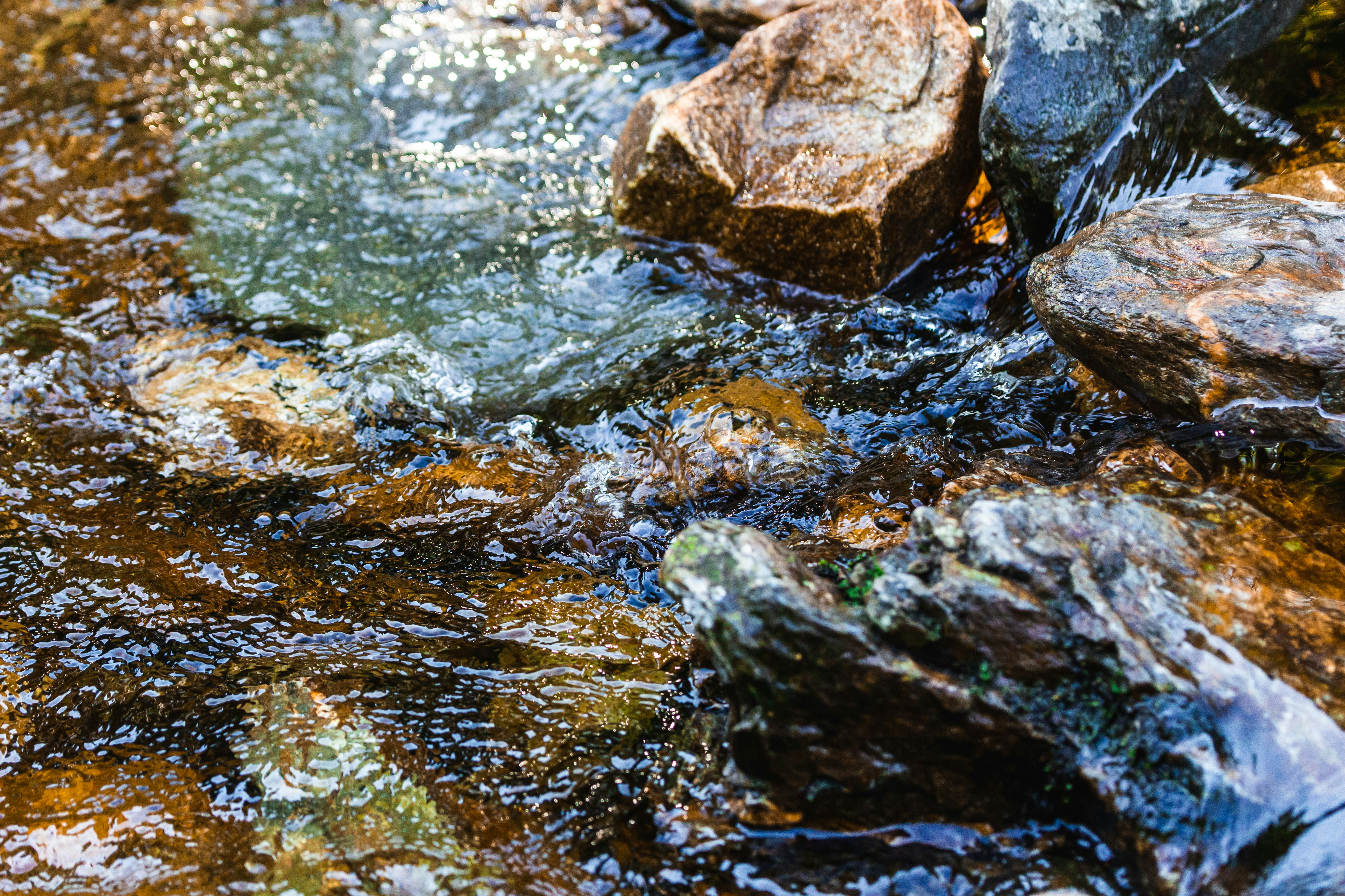 gray and brown rocks on river